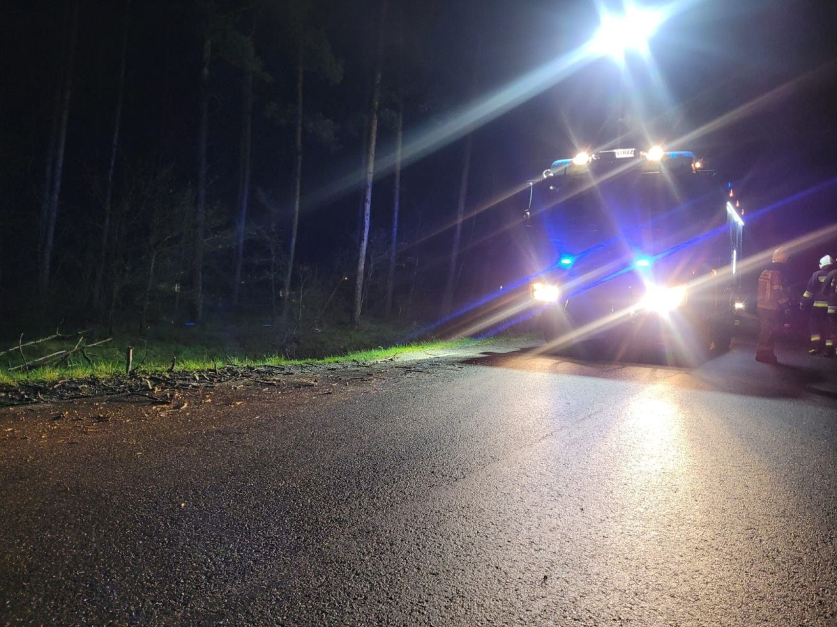 Akcja straży pożarnej koło Mierzwina