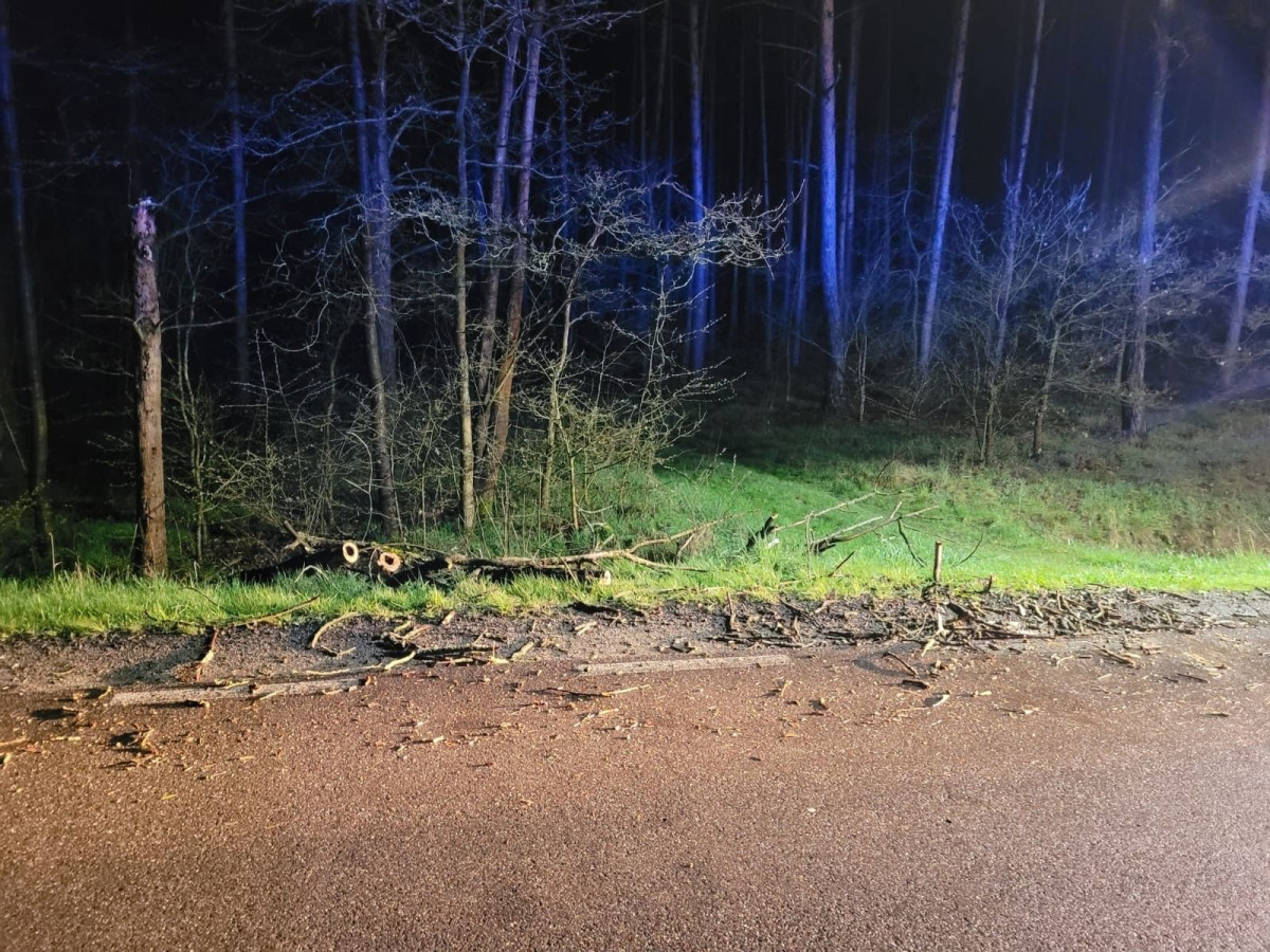 Akcja straży pożarnej koło Mierzwina