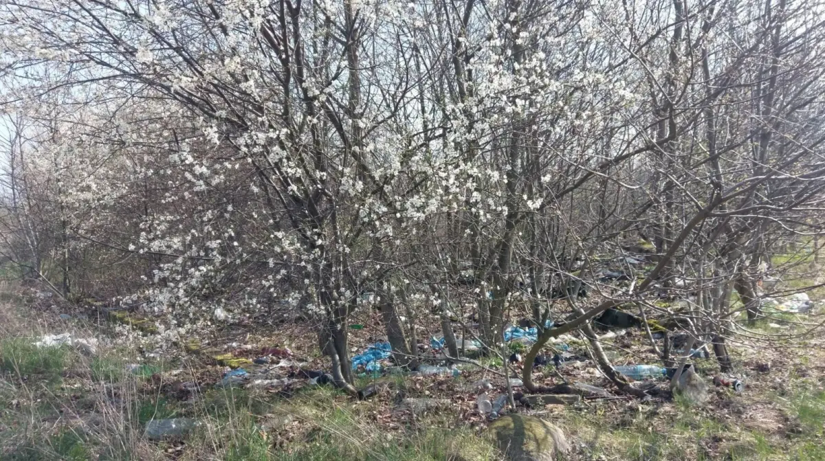Pełno śmieci na terenie zielonym między Kruszynem a Bolesławcem