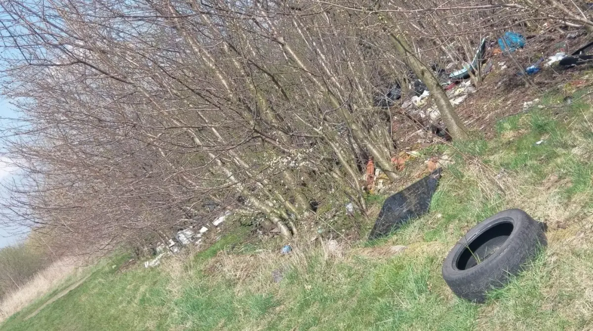 Pełno śmieci na terenie zielonym między Kruszynem a Bolesławcem