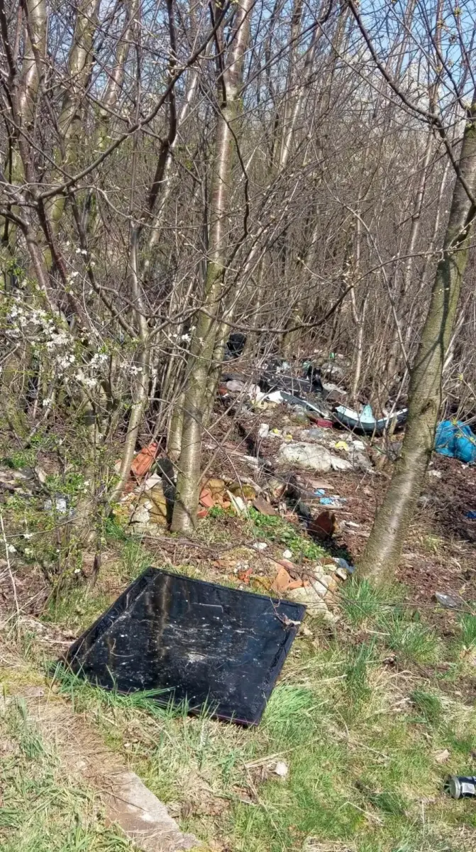 Pełno śmieci na terenie zielonym między Kruszynem a Bolesławcem