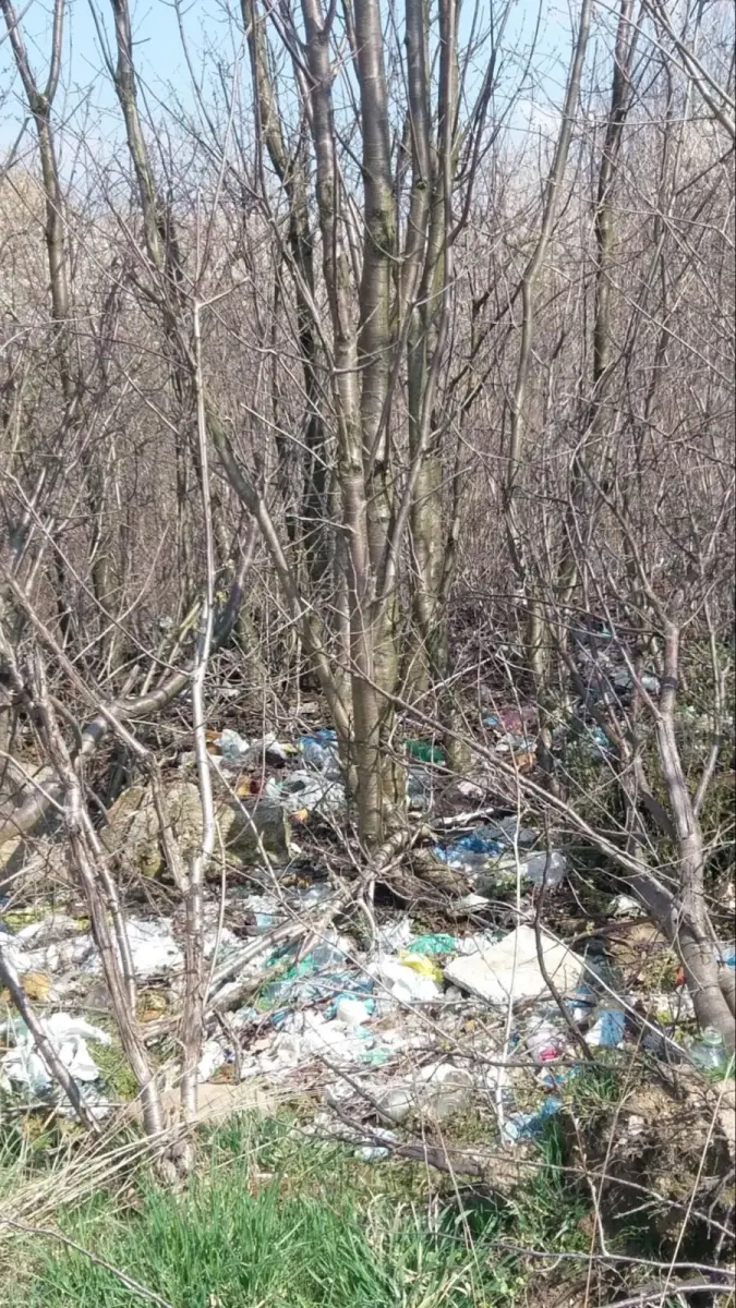 Pełno śmieci na terenie zielonym między Kruszynem a Bolesławcem