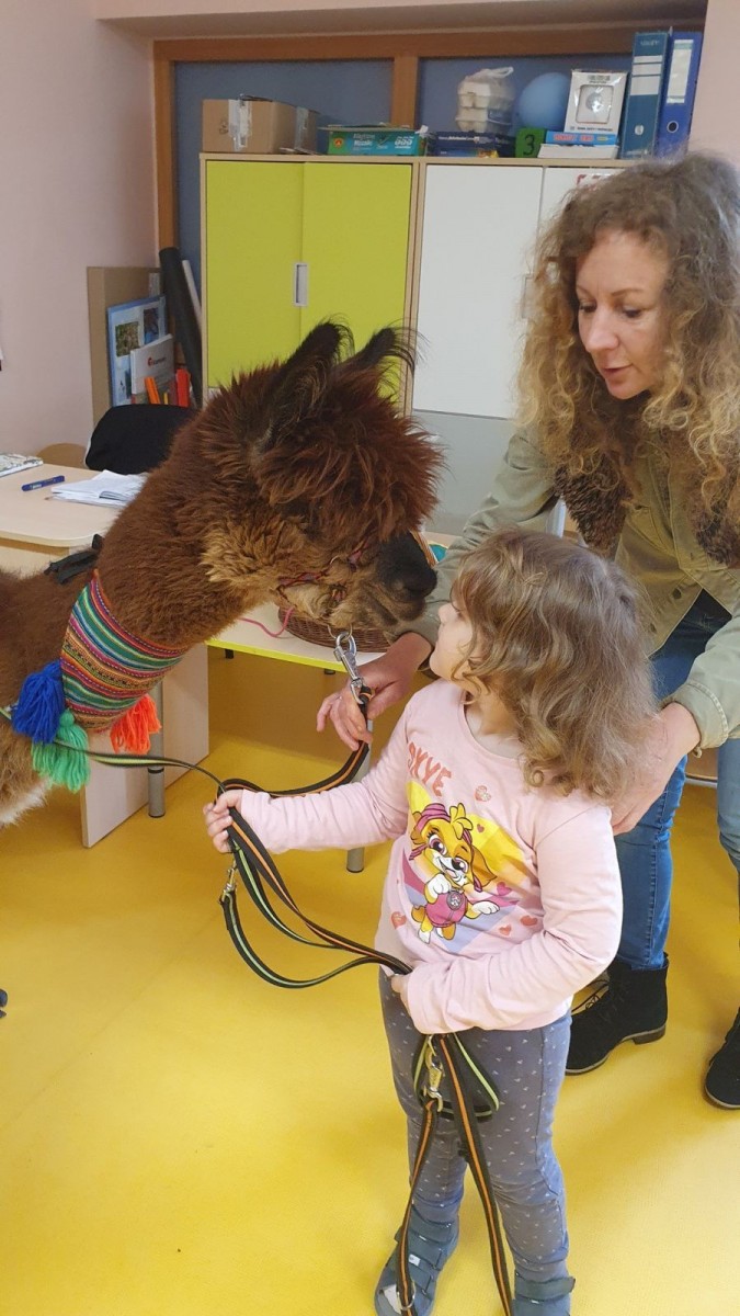 Alpaki w przedszkolu