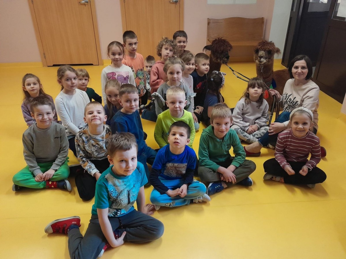 Alpaki w przedszkolu