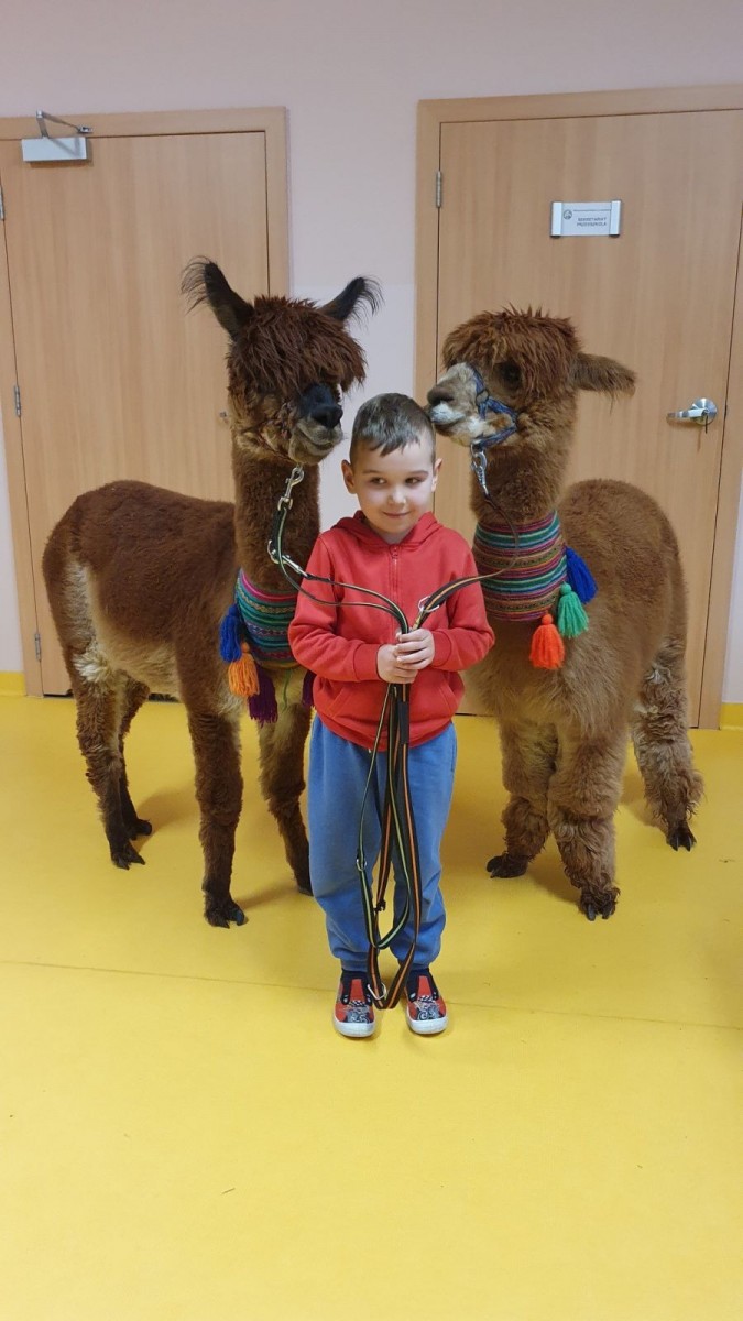 Alpaki w przedszkolu