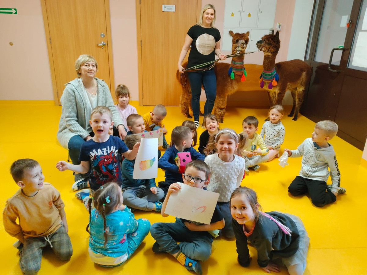 Alpaki w przedszkolu