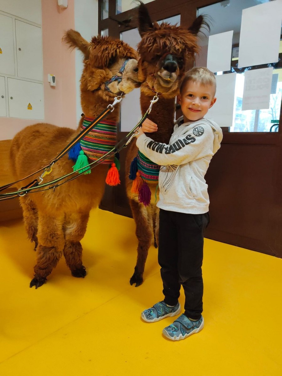 Alpaki w przedszkolu