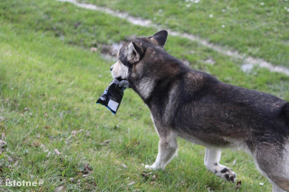 Galeria z meczu LKS Ocice - BKS II Bolesławiec