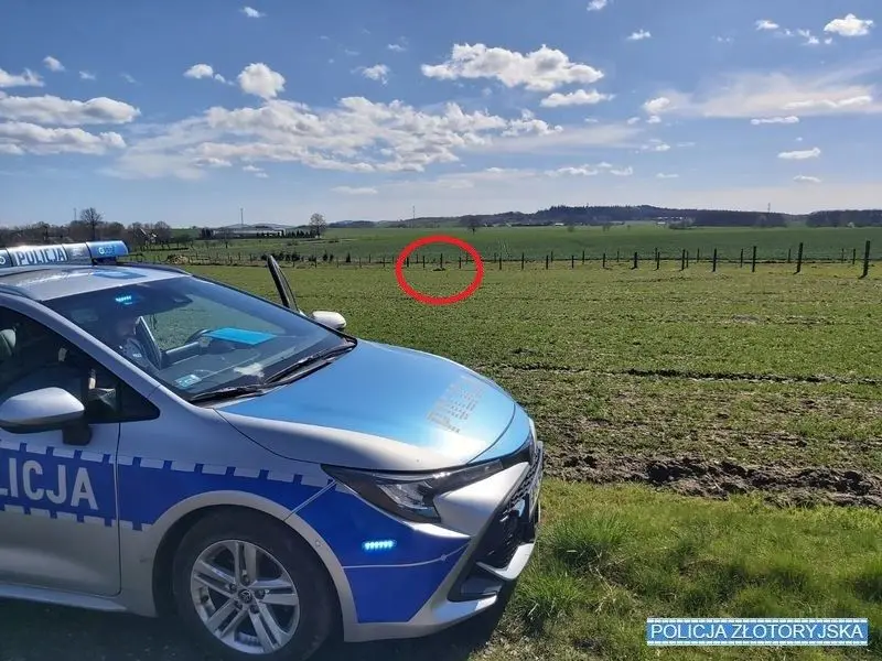 Radiowóz i motorower