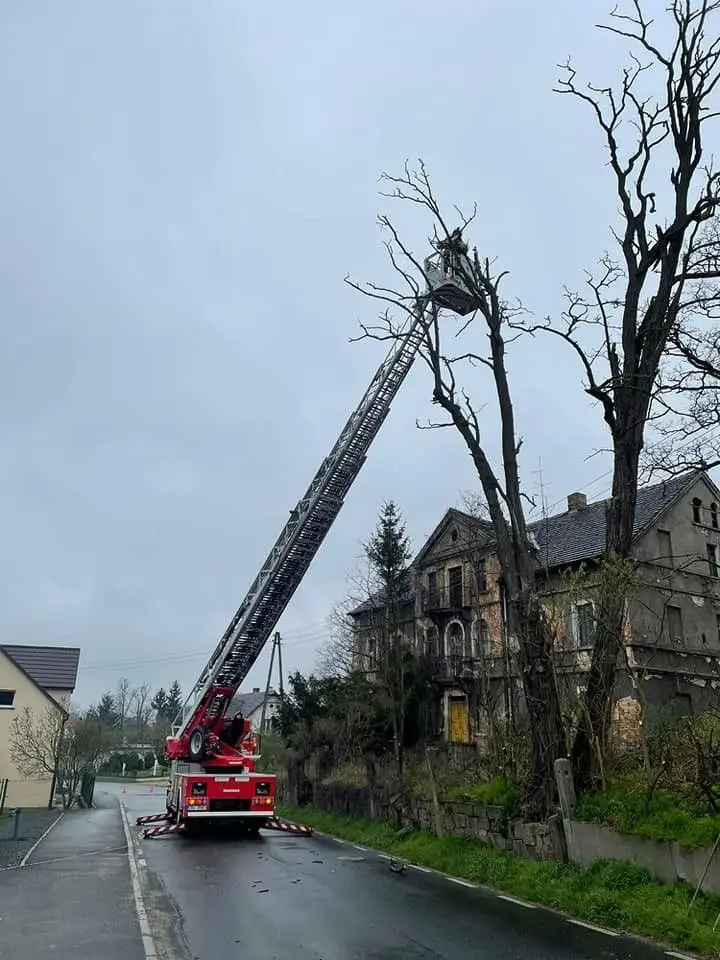 Akcja strażaków w Różyńcu