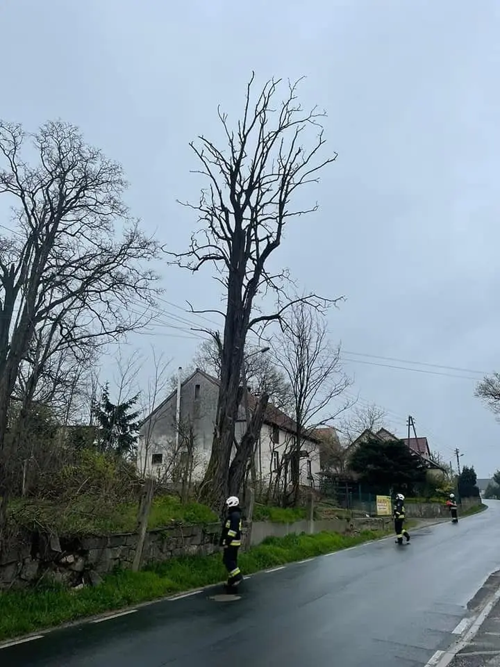 Akcja strażaków w Różyńcu