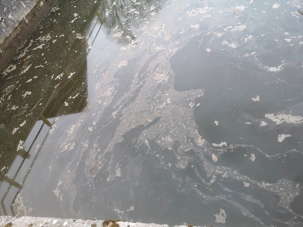 Zanieczyszczony Bóbr