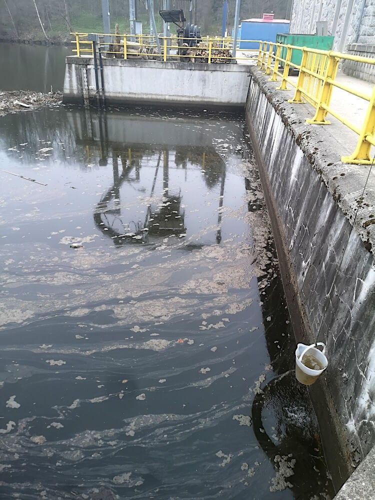 Zanieczyszczony Bóbr