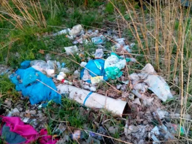 Dzikie wysypisko śmieci w rejonie rzeki Bóbr