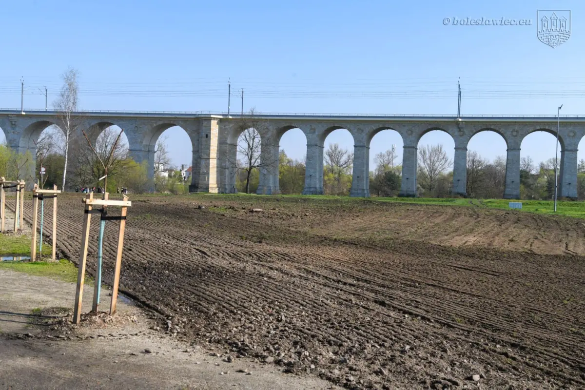 Powstają kwietne łąki w Bolesławcu