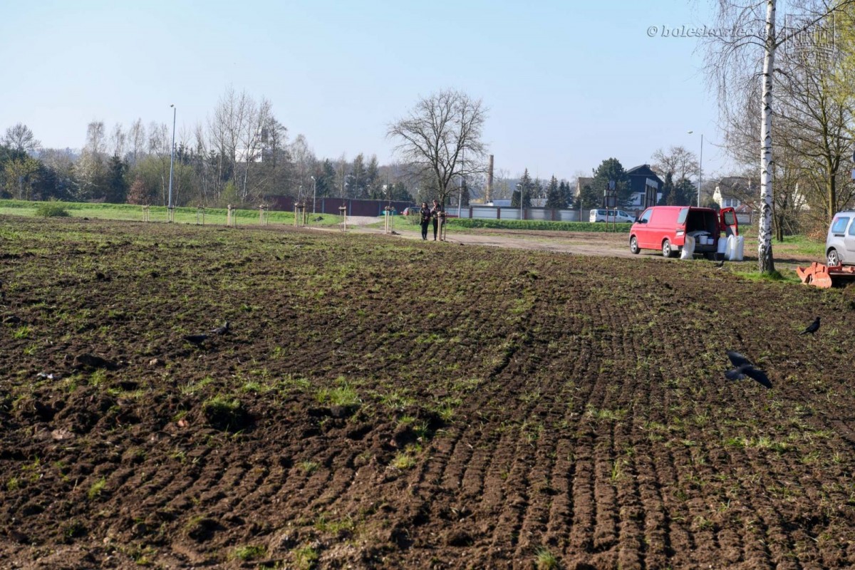 Powstają kwietne łąki w Bolesławcu