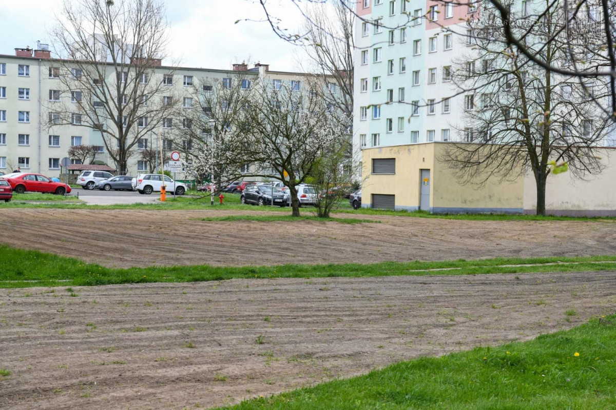 Powstają kwietne łąki w Bolesławcu