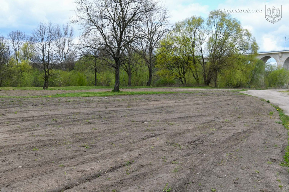 Powstają kwietne łąki w Bolesławcu