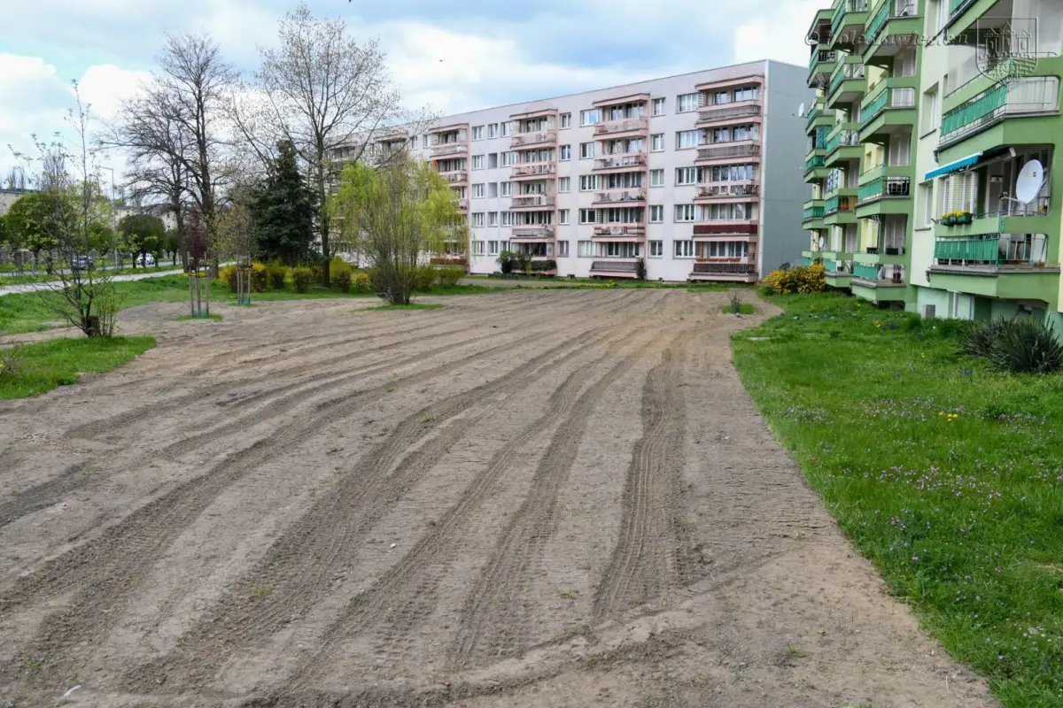 Powstają kwietne łąki w Bolesławcu