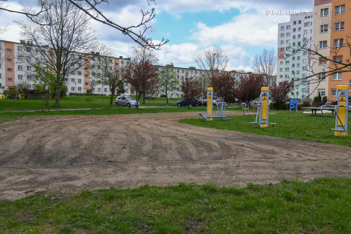 Powstają kwietne łąki w Bolesławcu