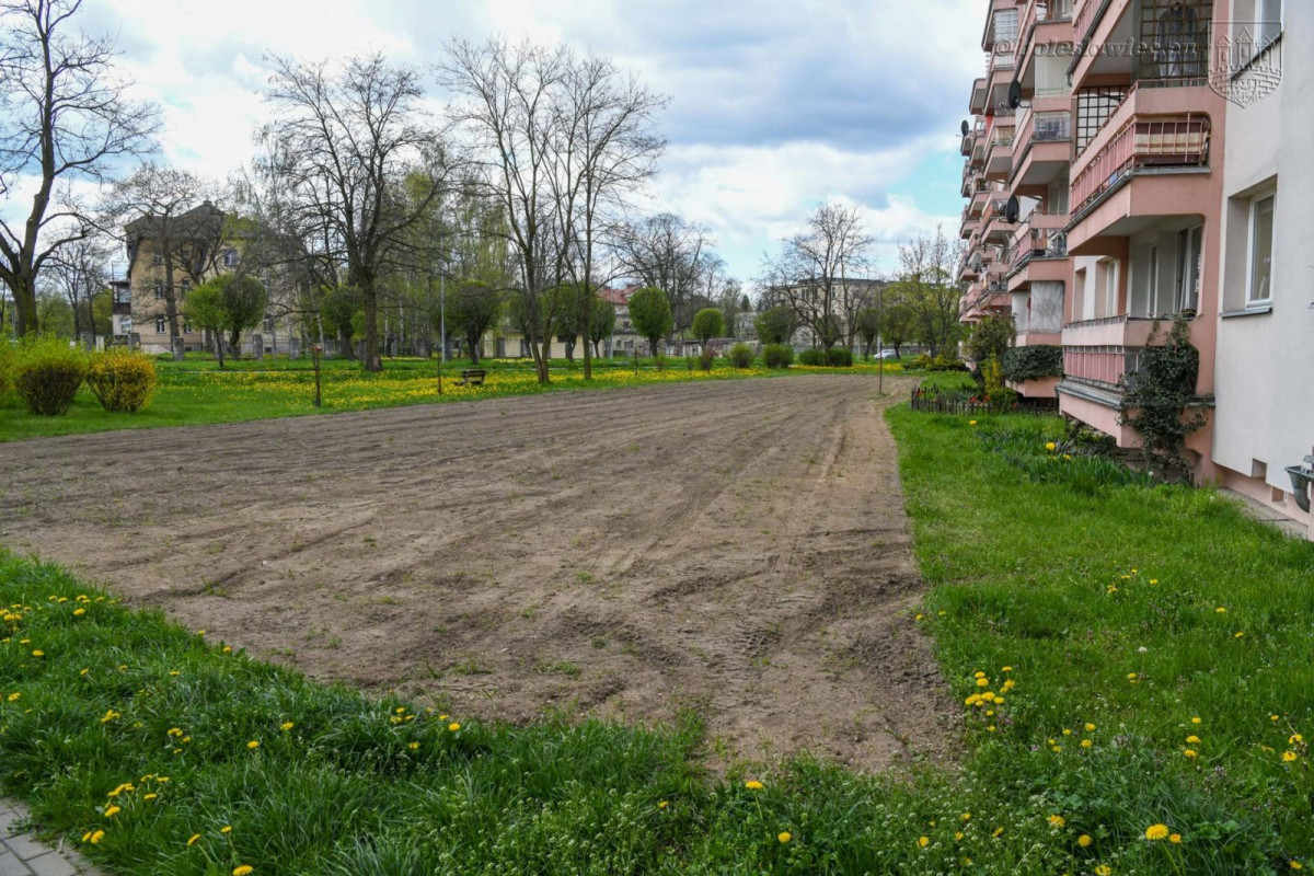 Powstają kwietne łąki w Bolesławcu