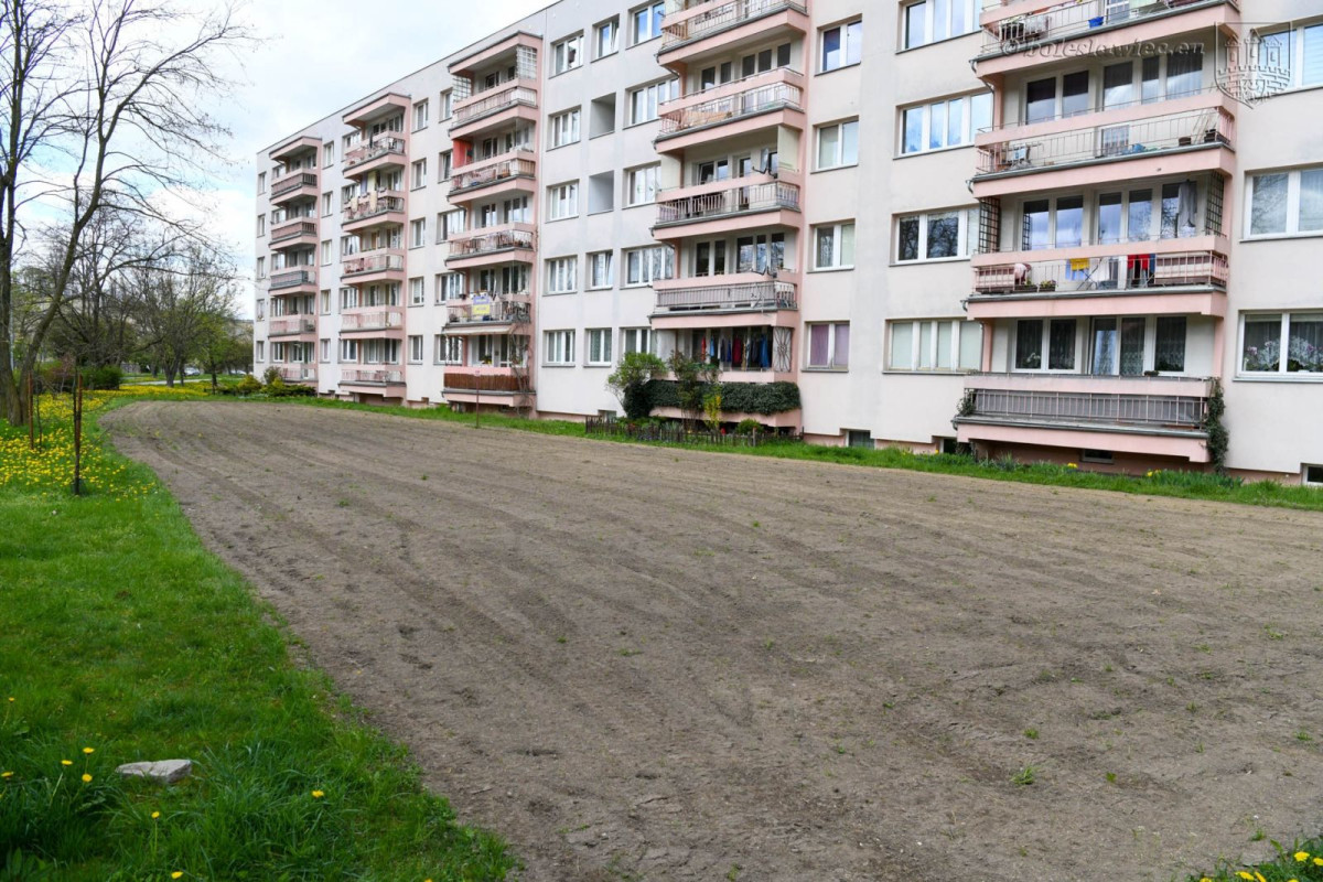 Powstają kwietne łąki w Bolesławcu