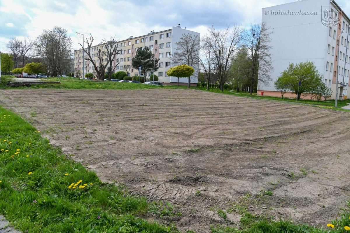 Powstają kwietne łąki w Bolesławcu