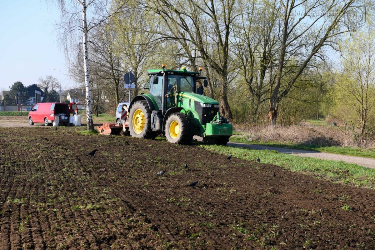 Powstają kwietne łąki w Bolesławcu