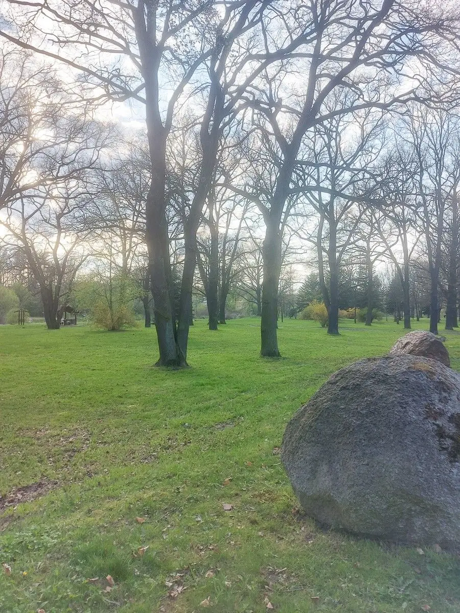Skoszone trawy w Bolesławcu