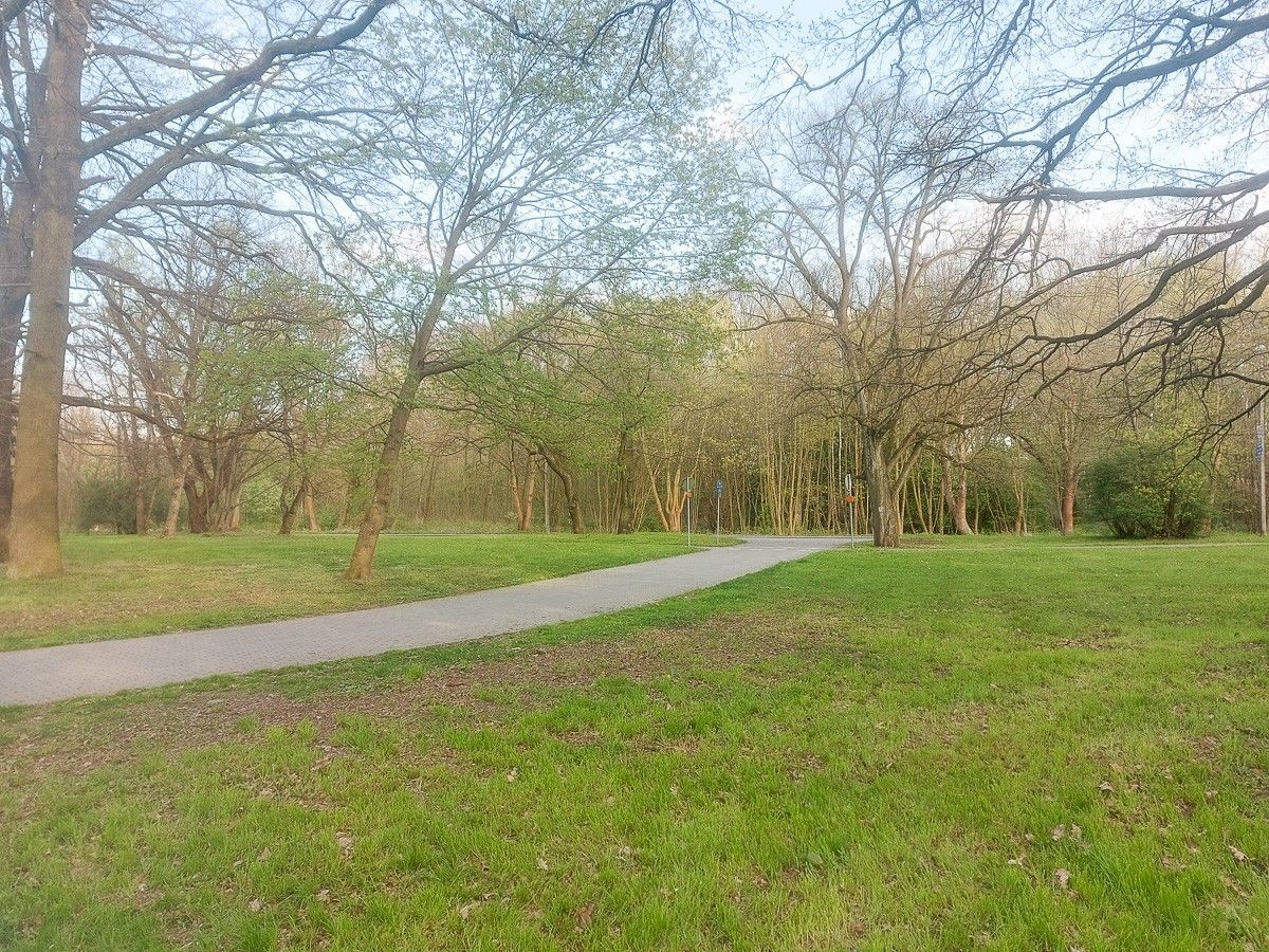 Skoszone trawy w Bolesławcu