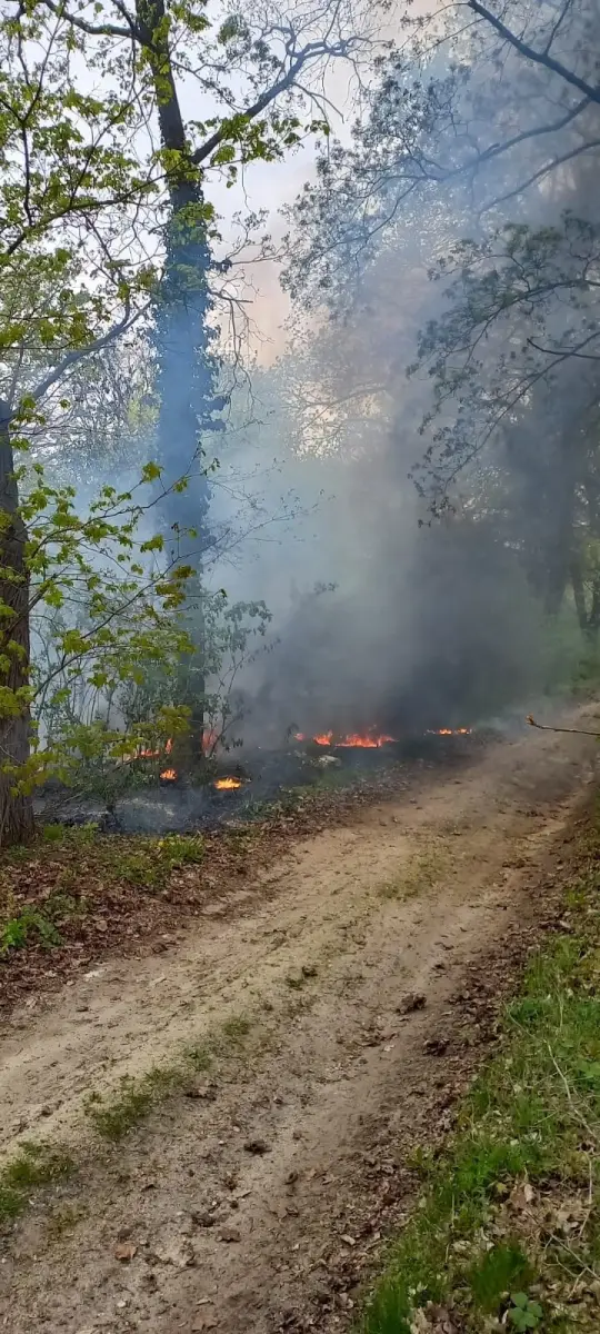 Akcja straży pożarnej w gminie Gromadka