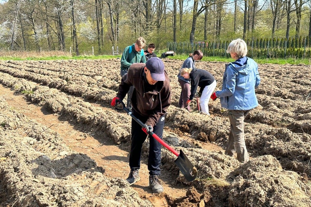 Akcja sadzenia drzew