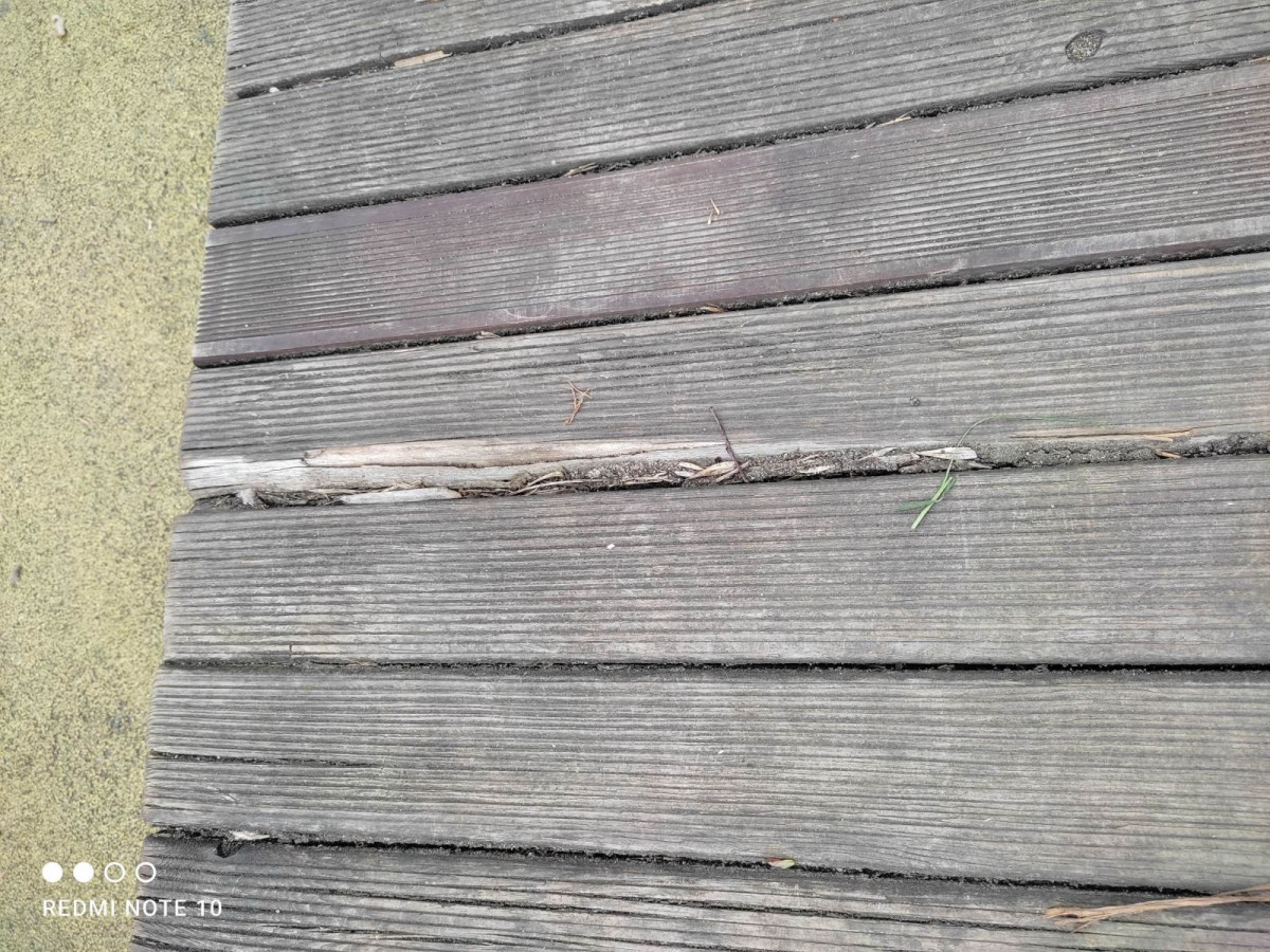 „Działalność” wandali w parku Bonina w Bolesławcu