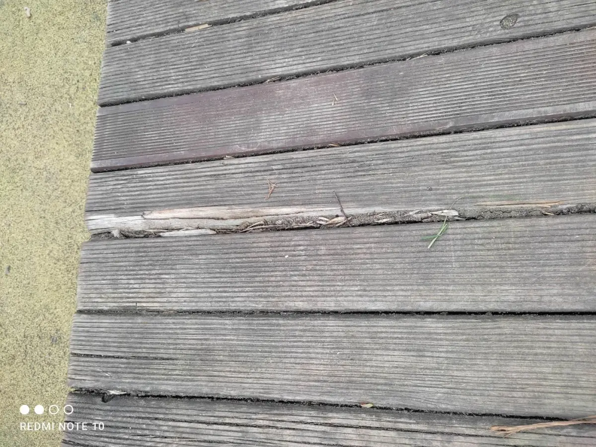 „Działalność” wandali w parku Bonina w Bolesławcu