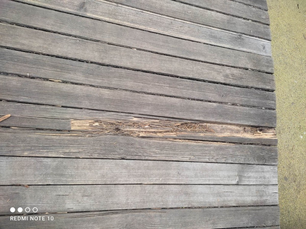 „Działalność” wandali w parku Bonina w Bolesławcu