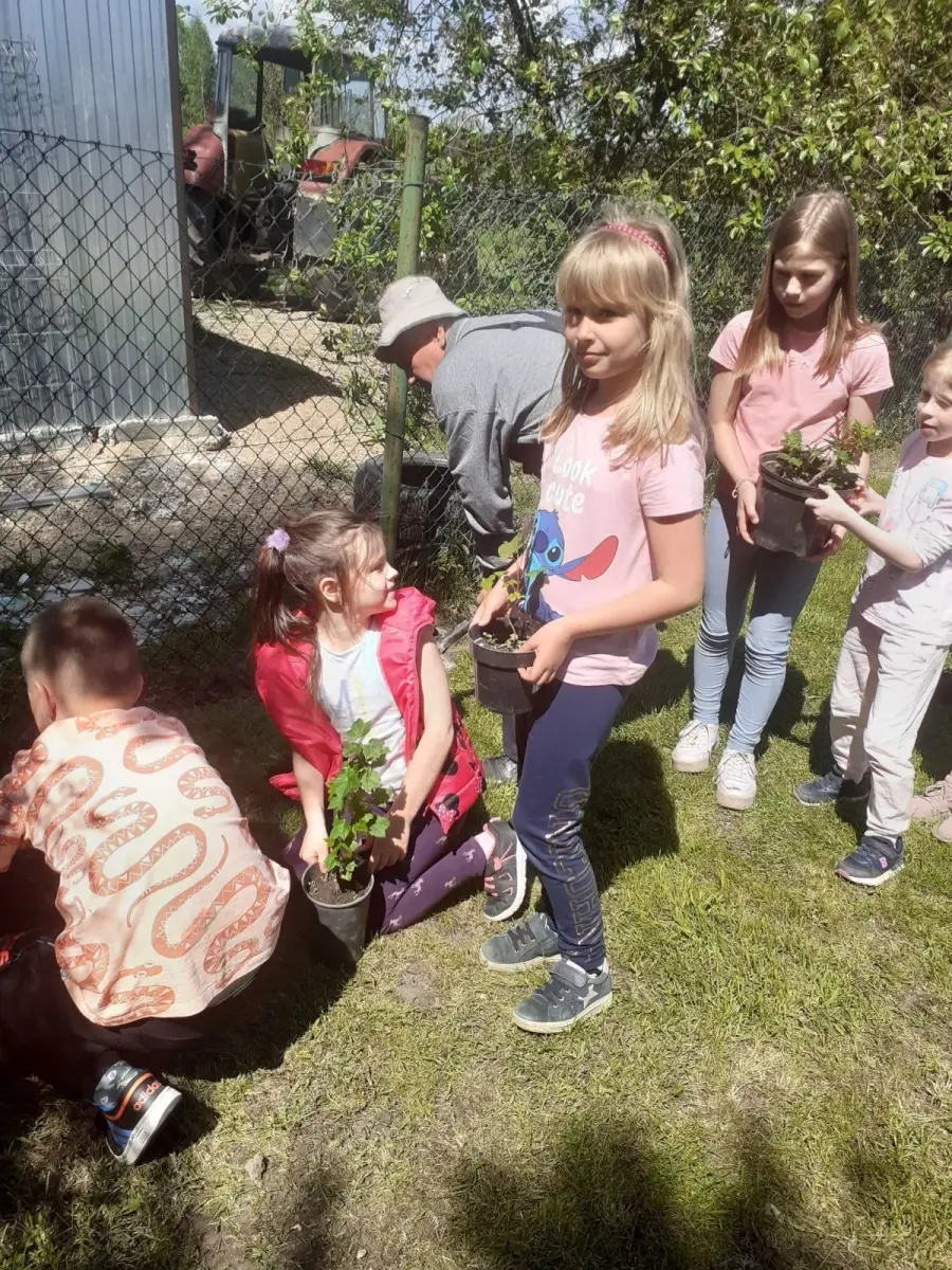 Dzieciaki z Trzebienia i Brzeźnika wzięły udział w akcji sadzenia krzewów owocowych