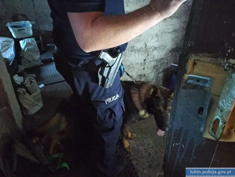 Działania policji