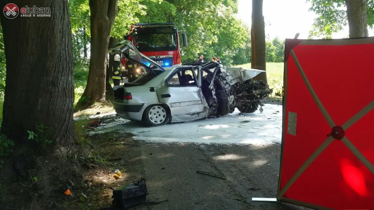 Смертельна аварія в Любаньському повіті