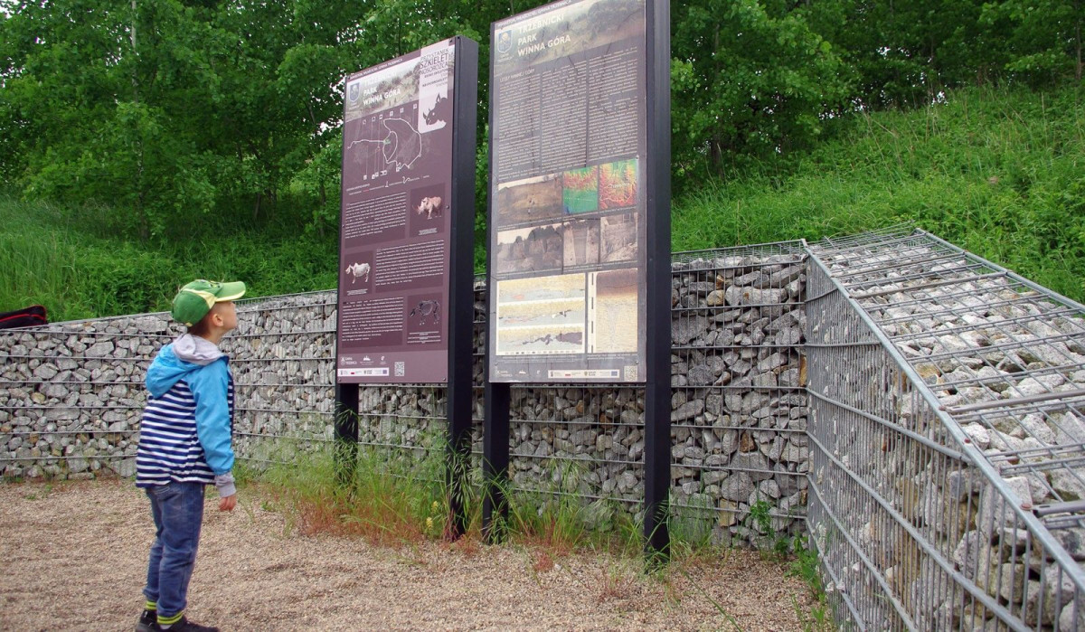 Wzgórza Trzebnickie