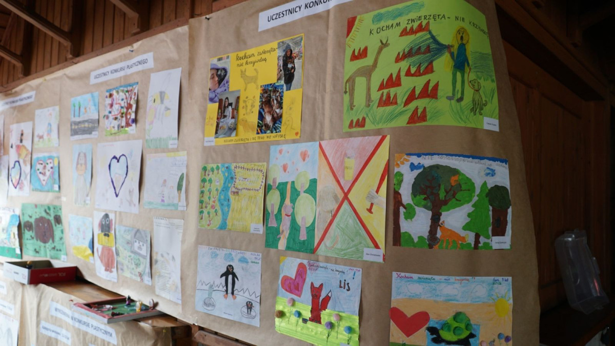 Piknik Integracyjny rodzin zastępczych i dzieci z placówek opiekuńczo-wychowawczych