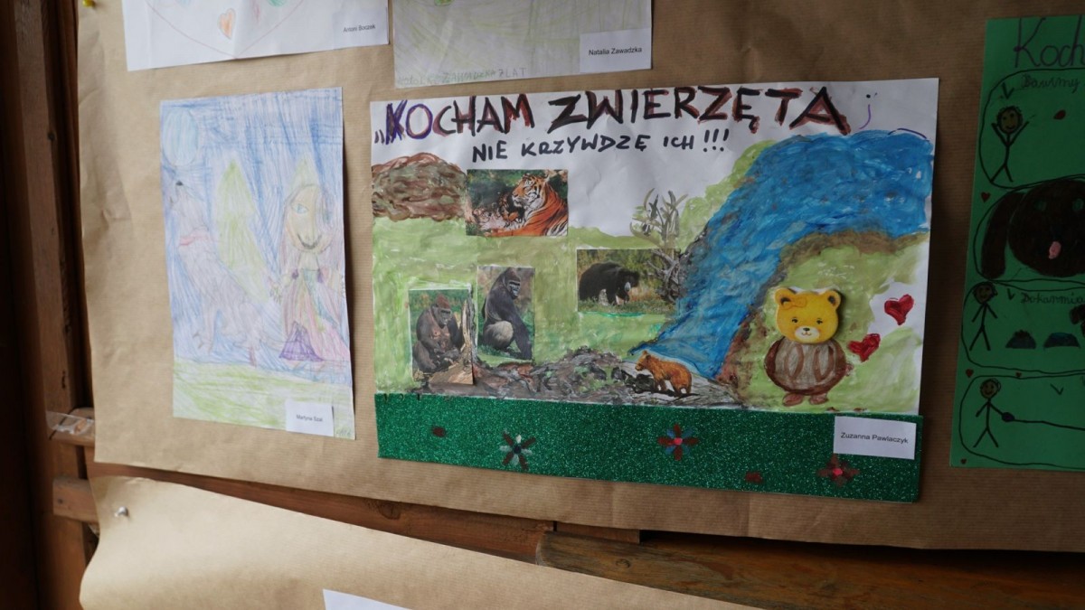 Piknik Integracyjny rodzin zastępczych i dzieci z placówek opiekuńczo-wychowawczych