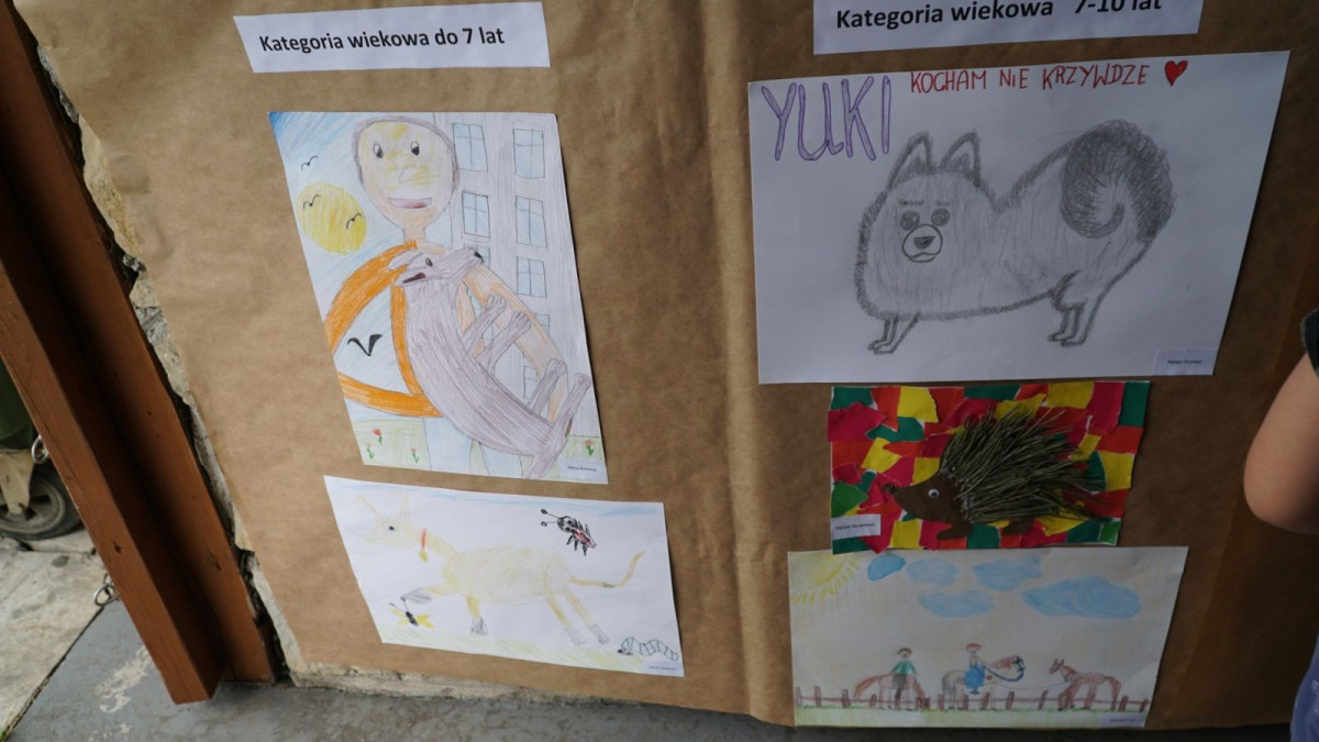 Piknik Integracyjny rodzin zastępczych i dzieci z placówek opiekuńczo-wychowawczych