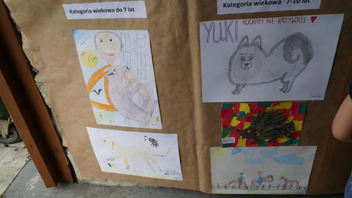 Piknik Integracyjny rodzin zastępczych i dzieci z placówek opiekuńczo-wychowawczych
