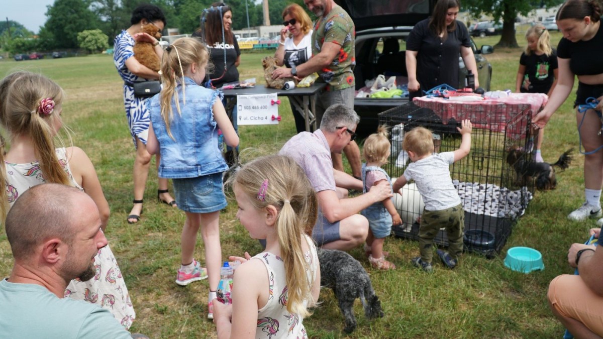 Piknik Integracyjny rodzin zastępczych i dzieci z placówek opiekuńczo-wychowawczych