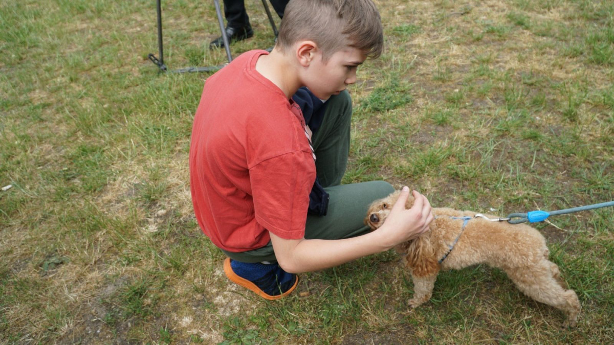 Piknik Integracyjny rodzin zastępczych i dzieci z placówek opiekuńczo-wychowawczych