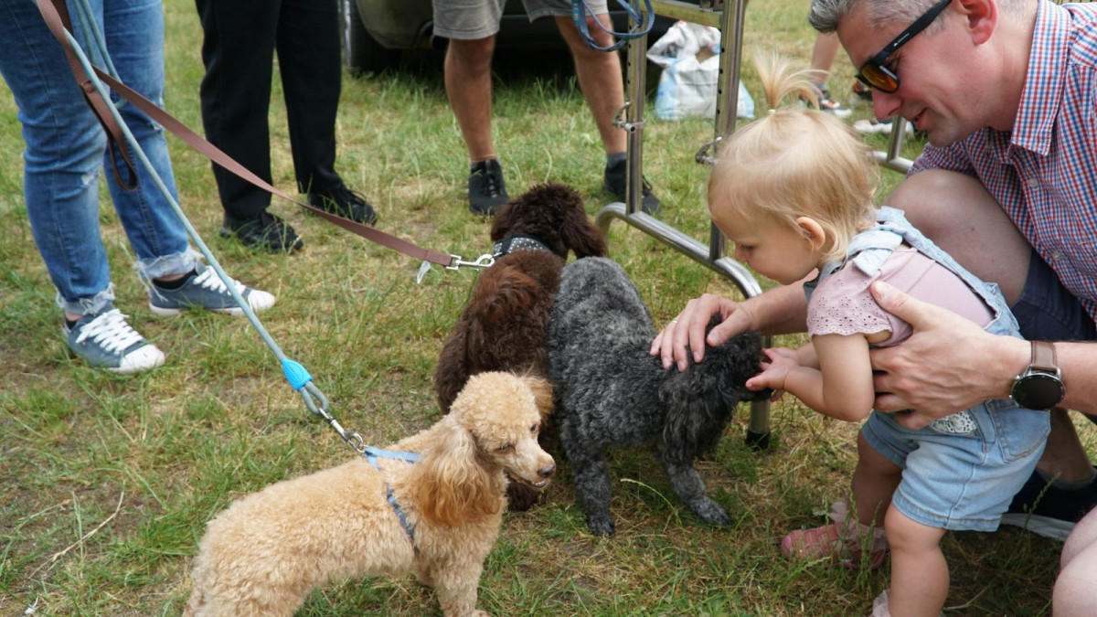 Piknik Integracyjny rodzin zastępczych i dzieci z placówek opiekuńczo-wychowawczych