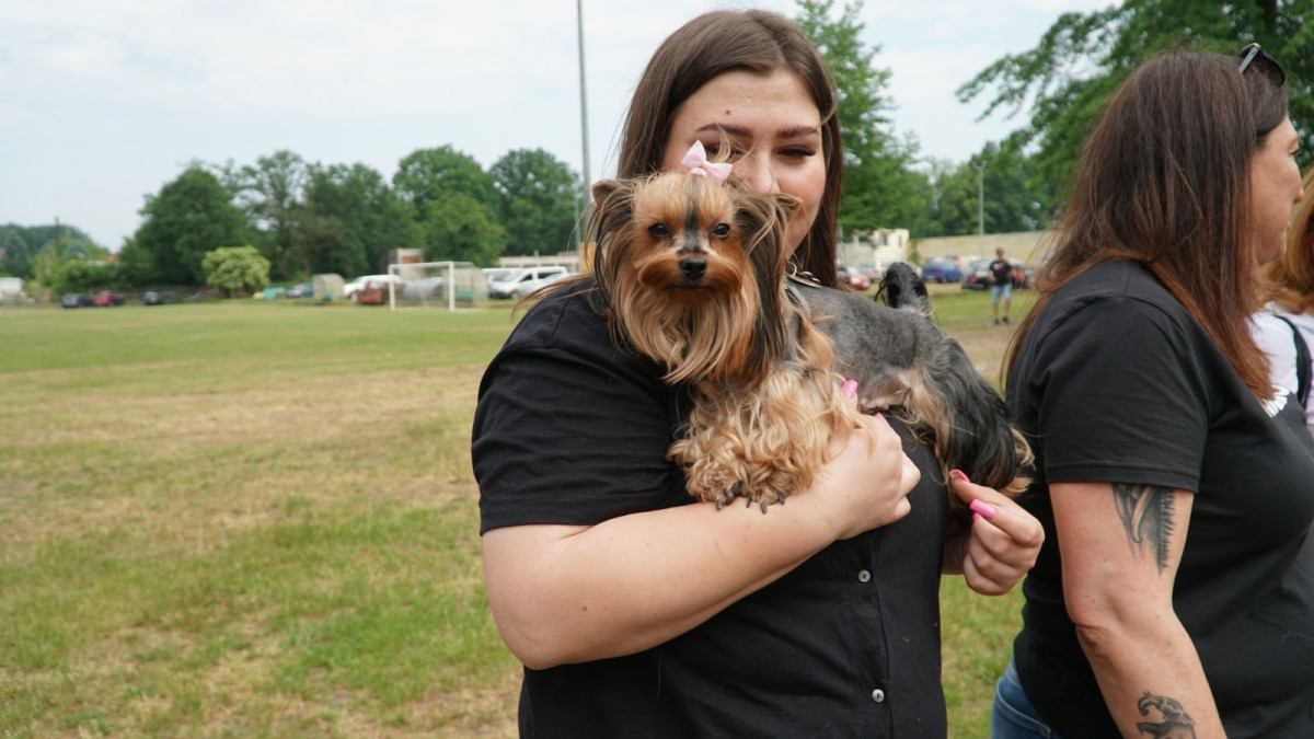 Piknik Integracyjny rodzin zastępczych i dzieci z placówek opiekuńczo-wychowawczych