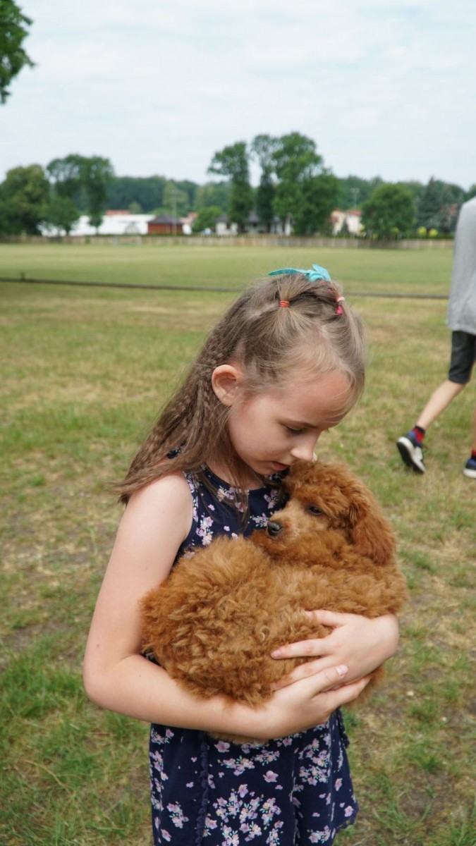 Piknik Integracyjny rodzin zastępczych i dzieci z placówek opiekuńczo-wychowawczych