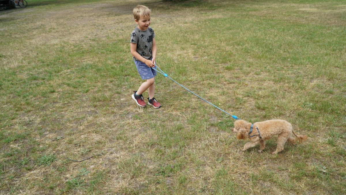 Piknik Integracyjny rodzin zastępczych i dzieci z placówek opiekuńczo-wychowawczych