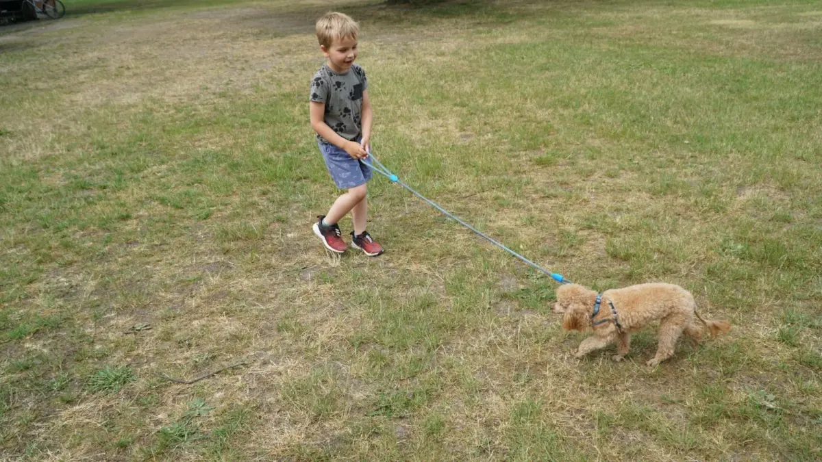 Piknik Integracyjny rodzin zastępczych i dzieci z placówek opiekuńczo-wychowawczych